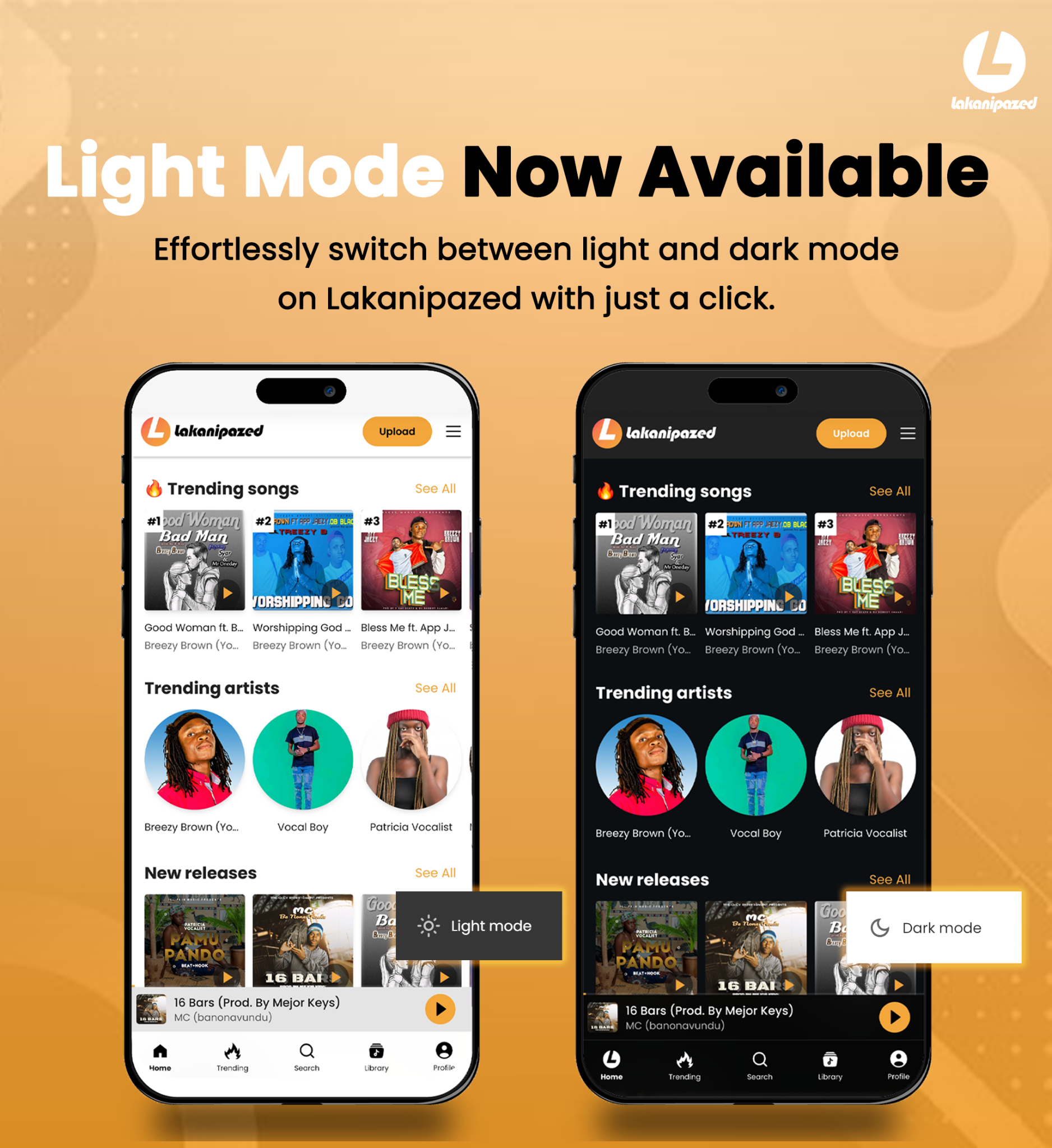Lakanipazed light and dark mode